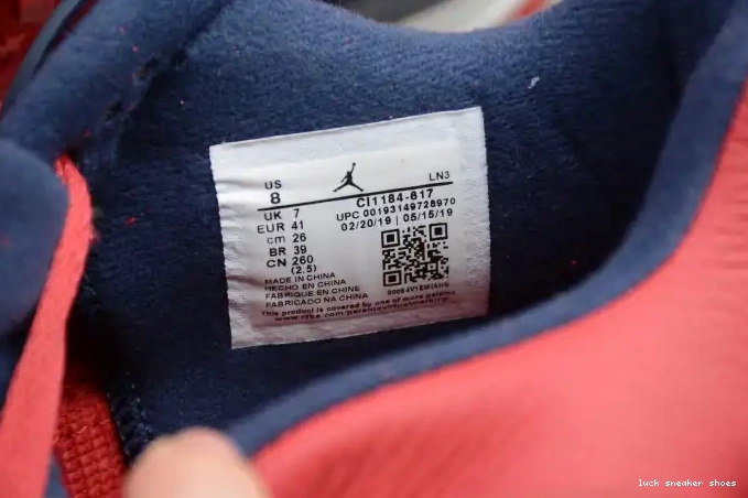 Reps LUCY SE CI1184-617 Jordan FIBA 4 Air 0501